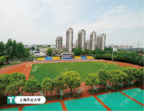 16710740590_840261001671074059-500x386-cut